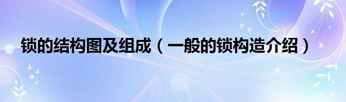 锁的结构图及组成（一般的锁构造介绍）