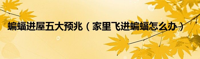 蝙蝠进屋五大预兆（家里飞进蝙蝠怎么办）
