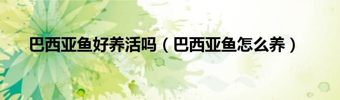 巴西亚鱼好养活吗（巴西亚鱼怎么养）