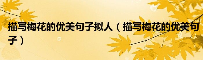 描写梅花的优美句子拟人（描写梅花的优美句子）
