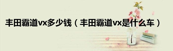 丰田霸道vx多少钱（丰田霸道vx是什么车）