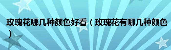 玫瑰花哪几种颜色好看（玫瑰花有哪几种颜色）