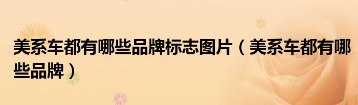 美系车都有哪些品牌标志图片（美系车都有哪些品牌）