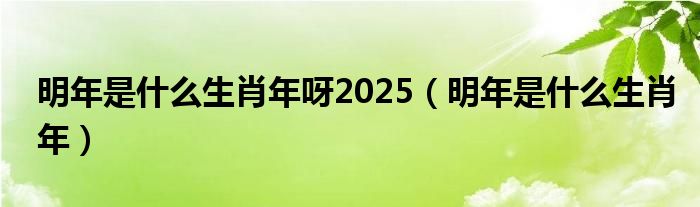 明年是什么生肖年呀2025（明年是什么生肖年）