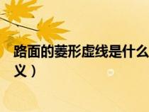 路面的菱形虚线是什么含义图片（路面的菱形虚线是什么含义）