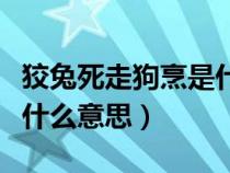 狡兔死走狗烹是什么意思呢（狡兔死走狗烹是什么意思）