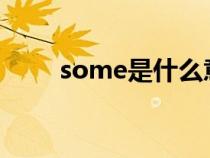 some是什么意思(so是什么意思) some是什么意思(so是什么意思)