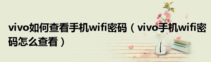 vivo如何查看手机wifi密码（vivo手机wifi密码怎么查看）
