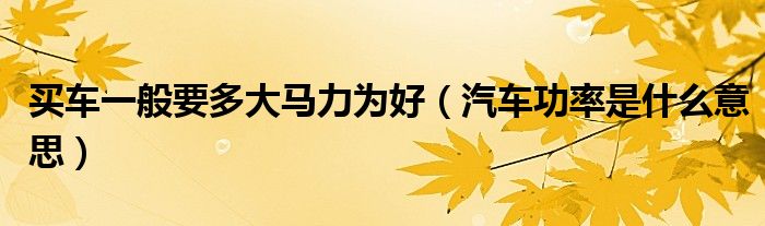 买车一般要多大马力为好（汽车功率是什么意思）