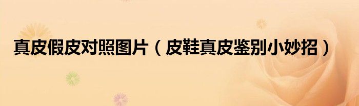 真皮假皮对照图片（皮鞋真皮鉴别小妙招）