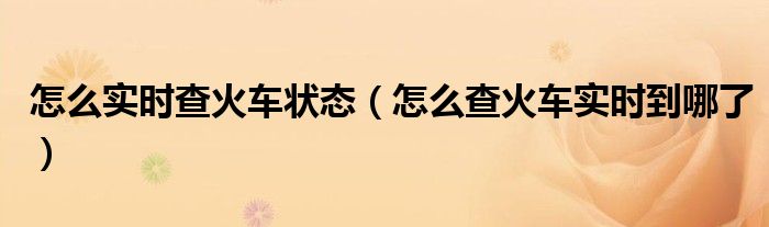 怎么实时查火车状态（怎么查火车实时到哪了）