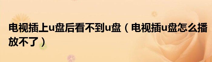 电视插上u盘后看不到u盘（电视插u盘怎么播放不了）