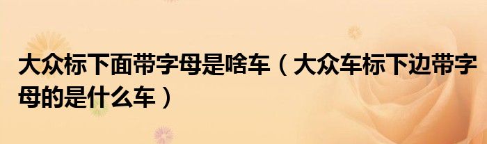 大众标下面带字母是啥车（大众车标下边带字母的是什么车）