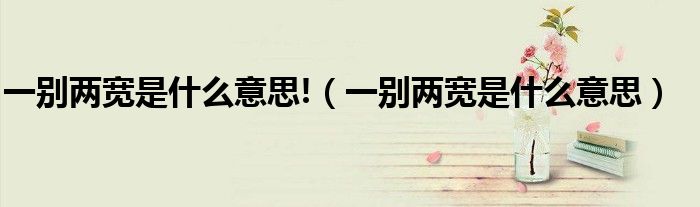 一别两宽是什么意思!（一别两宽是什么意思）