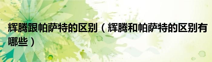 辉腾跟帕萨特的区别（辉腾和帕萨特的区别有哪些）