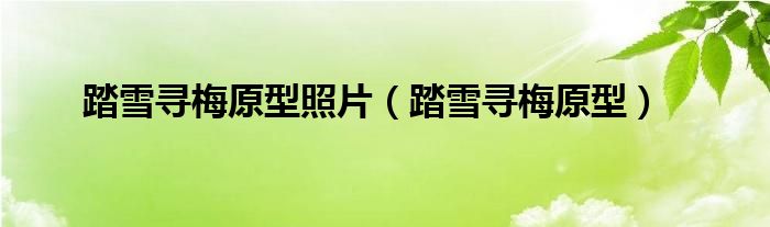 踏雪寻梅原型照片（踏雪寻梅原型）