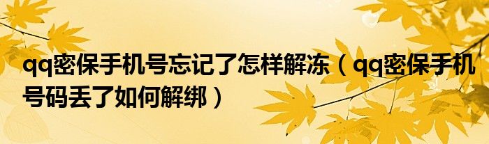 qq密保手机号忘记了怎样解冻（qq密保手机号码丢了如何解绑）