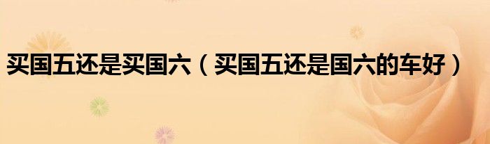 买国五还是买国六（买国五还是国六的车好）