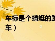 车标是个蜻蜓的跑车（车标是蜻蜓的是什么跑车）