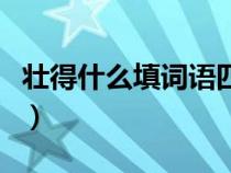 壮得什么填词语四个字（壮得什么填词语答案）