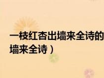 一枝红杏出墙来全诗的意思比喻人是什么意思（一枝红杏出墙来全诗）