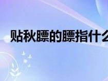 贴秋膘的膘指什么（贴秋膘是什么意思啊）