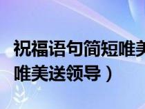 祝福语句简短唯美送领导的话（祝福语句简短唯美送领导）