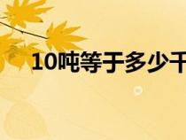 10吨等于多少千克（1吨等于多少千克）