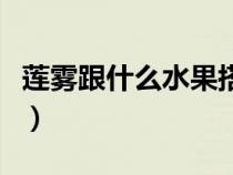 莲雾跟什么水果搭配（莲雾不能和什么一起吃）