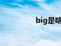 big是啥（big3是什么）