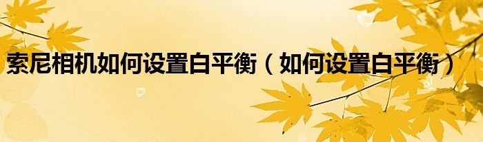 索尼相机如何设置白平衡（如何设置白平衡）