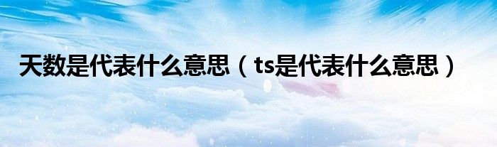 天数是代表什么意思（ts是代表什么意思）