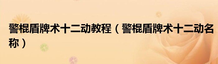 警棍盾牌术十二动教程（警棍盾牌术十二动名称）