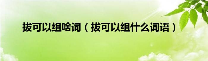 拔可以组啥词（拔可以组什么词语）