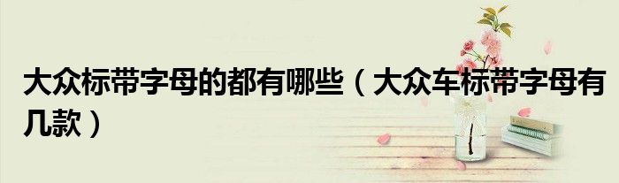大众标带字母的都有哪些（大众车标带字母有几款）