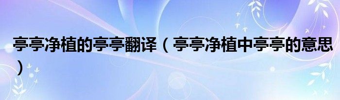 亭亭净植的亭亭翻译（亭亭净植中亭亭的意思）