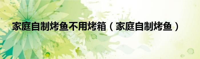 家庭自制烤鱼不用烤箱（家庭自制烤鱼）
