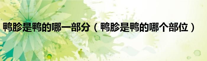 鸭胗是鸭的哪一部分（鸭胗是鸭的哪个部位）