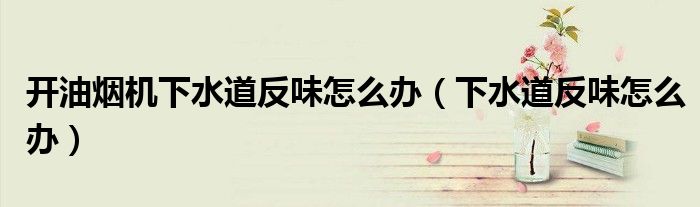 开油烟机下水道反味怎么办（下水道反味怎么办）