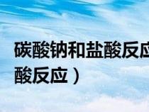 碳酸钠和盐酸反应生成碳酸氢钠（碳酸钠和盐酸反应）
