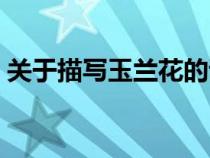 关于描写玉兰花的诗词（描写玉兰花的诗词）