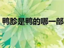 鸭胗是鸭的哪一部分（鸭胗是鸭的哪个部位）