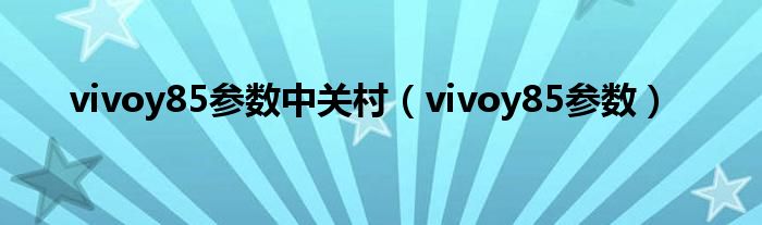 vivoy85参数中关村（vivoy85参数）