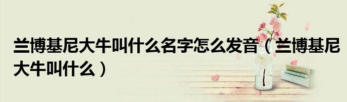 兰博基尼大牛叫什么名字怎么发音（兰博基尼大牛叫什么）