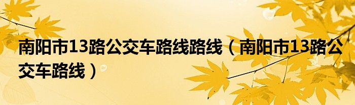 南阳市13路公交车路线路线（南阳市13路公交车路线）