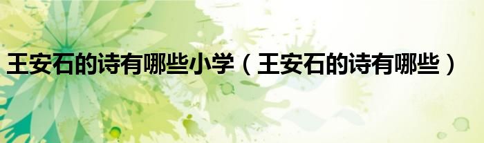 王安石的诗有哪些小学（王安石的诗有哪些）