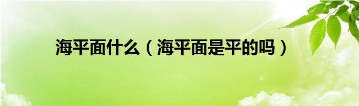 海平面什么（海平面是平的吗）