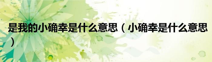 是我的小确幸是什么意思（小确幸是什么意思）