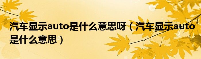 汽车显示auto是什么意思呀（汽车显示auto是什么意思）