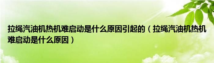 拉绳汽油机热机难启动是什么原因引起的（拉绳汽油机热机难启动是什么原因）